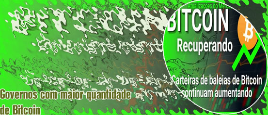 Carteiras de bitcoin