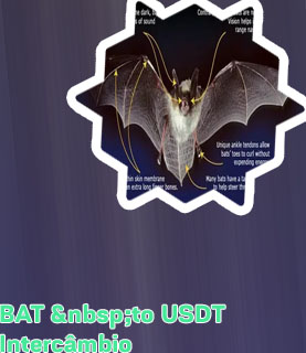 Criptomoeda bat